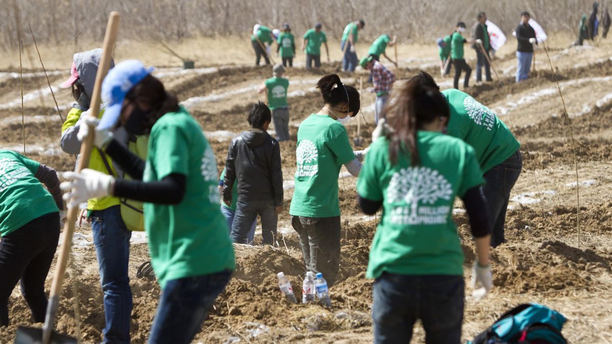 Volunteers planting trees together on a planting trip in Inner Mongolia